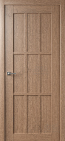 Dream Doors Межкомнатная дверь W21, арт. 5007